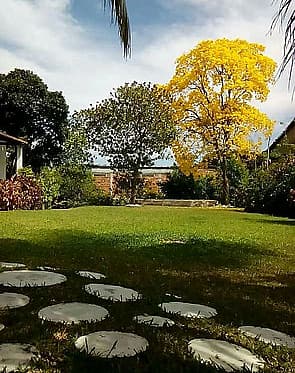 Maison Cerimoniais Alphaville