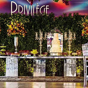 PRIVILEGE ESPAÇO DE FESTAS