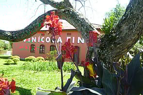 Vinícola Fin