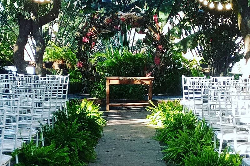 Imagem principal da galeria