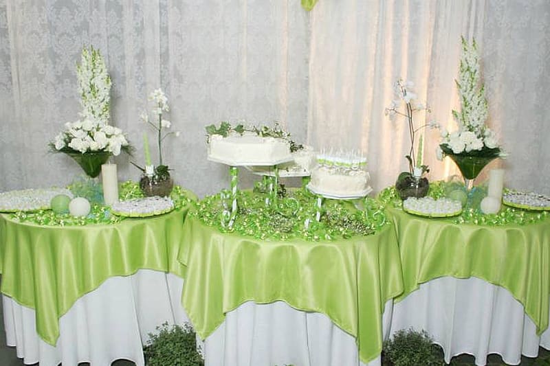 Imagem principal da galeria