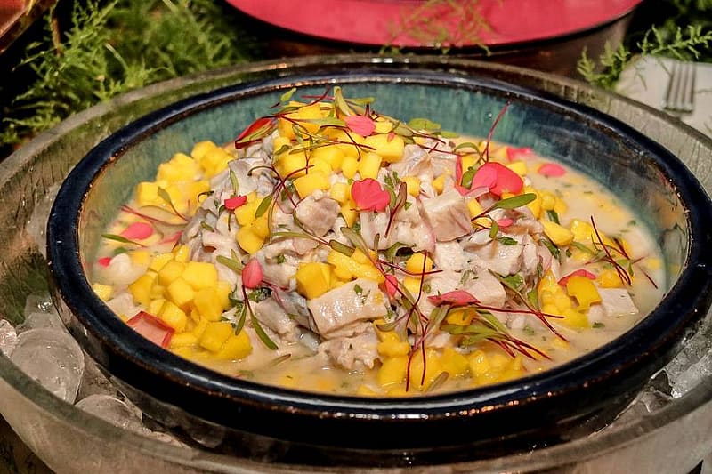 file-1624172001252_13_273097-162417201293447 Medium.jpeg